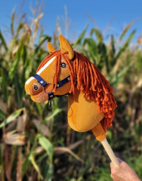 Hobby Horse Mały koń na kiju Premium - kasztan A4 Hobby Horse Mały koń na kiju Premium - kasztan A4
