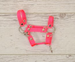 Kantar dla konia Hobby Horse A4 zapinany mały - neon pink