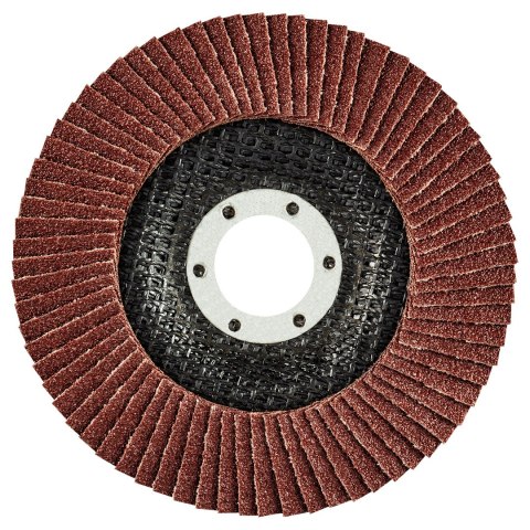 Ściernica listkowa 115 x 22.2 mm, K80 Ściernica listkowa 115 x 22.2 mm, K80
