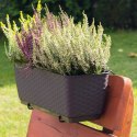 Doniczka rattanowa z hakami Ratolla DRL400PW umbra