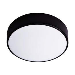 OVO plafon LED, 24W, 4000K, 2750lm, czarna stal, klosz szklany matowy, IP20, ? 300