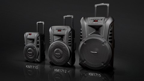 Aktywna kolumna głośnikowa (z 2 mikrofonami bezprzewodowymi UHF, SD, Bluetooth, FM, USB) 40 Watt Aktywna kolumna głośnikowa (z 2 mikrofonami bezprzewodowymi UHF, SD, Bluetooth, FM, USB) 40 Watt