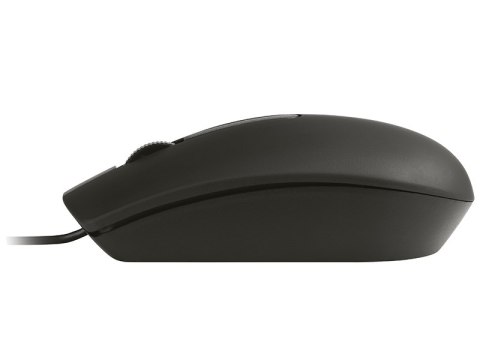 Mysz TRACER OFFI Black USB Mysz TRACER OFFI Black USB