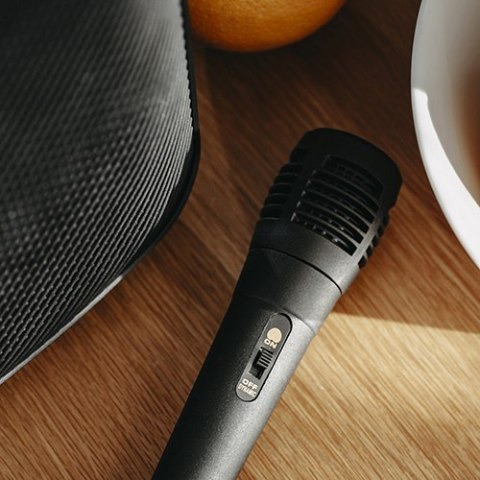 AD 1903 Głośnik bluetooth z radiem / funkcja karaoke AD 1903 Głośnik bluetooth z radiem / funkcja karaoke