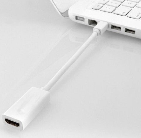 HD18 Adapter mini displayport do hdmi HD18 Adapter mini displayport do hdmi