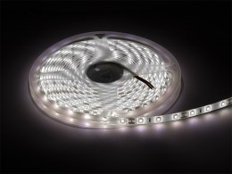 70-731# Taśma led biały zimny 2835 5m/300wodoodporna