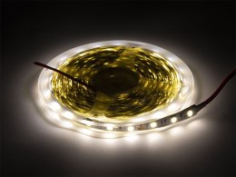 70-733# Taśma led biały neutralny 5050 5m/300